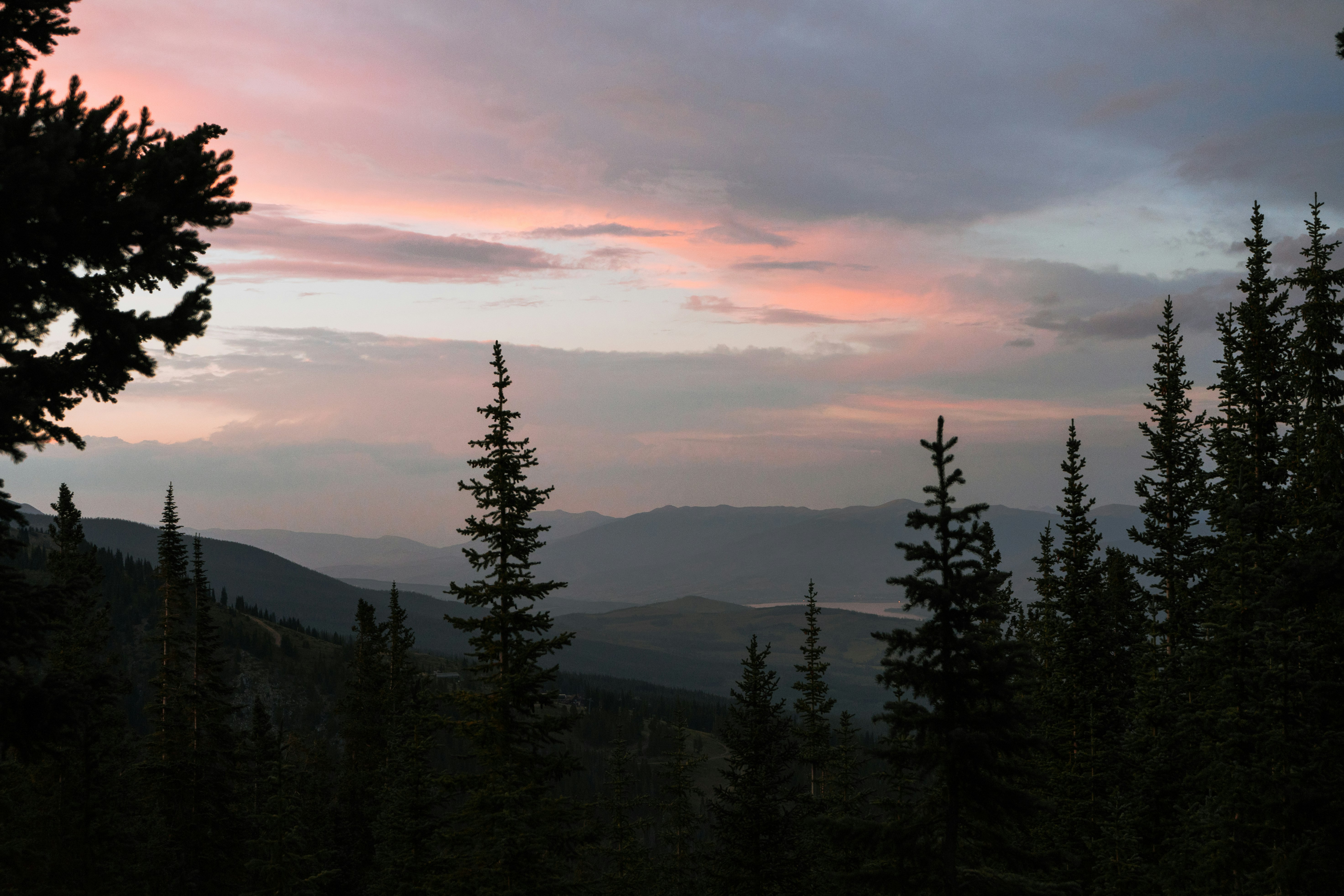 green pine trees on mountain during sunset